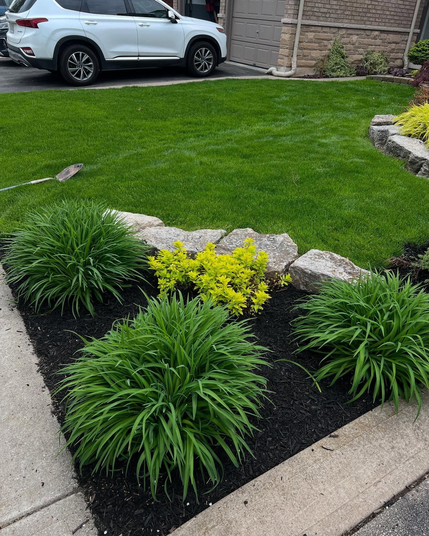 Front yard garden bed with daylilies, hostas, and fresh black mulch