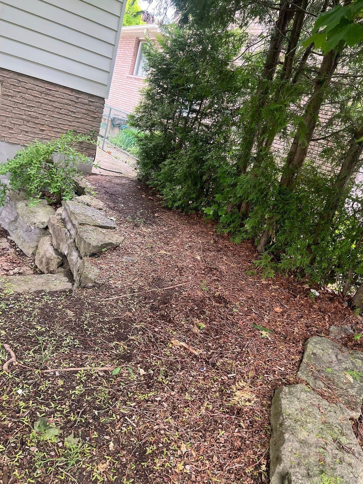 Cleared and mulched side garden after a spring property cleanup